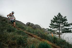 BIB: 
                            <button type="button" onclick="openModal(25996899)" class="btn btn-primary btn-sm float-right btn-popup" data-toggle="modal" data-target=".modal-high-quality">
                        <i class="fas fa-shopping-cart"></i> Add to Cart
                    </button>
                                            <button type="button" onclick="isThisMe(25996899, true)" class="btn btn-success btn-sm float-right btn-popup btn-isme hidden" data-toggle="tooltip" data-placement="bottom" title="นี่คือรูปของคุณใช่ไหม คลิกที่นี่เพื่อเอาเข้าอัลบั้ม">
                        <i class="fas fa-plus"></i> Add to album
                    </button>
                    <button type="button" onclick="isThisMe(25996899, false)" class="btn btn-warning btn-sm float-right btn-popup btn-isnotme hidden">
                        <i class="fas fa-ban"></i> Remove from album
                    </button>